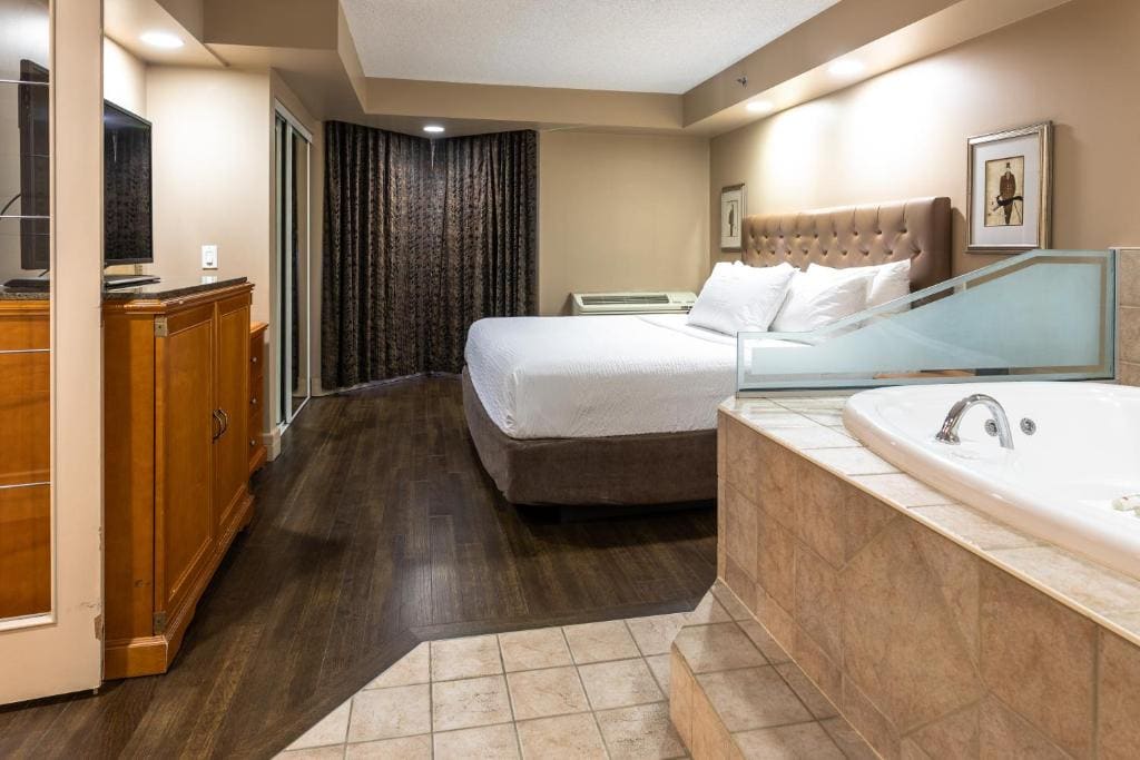 Deluxe One-Bedroom King Suite - Non-Smoking room - Image 1