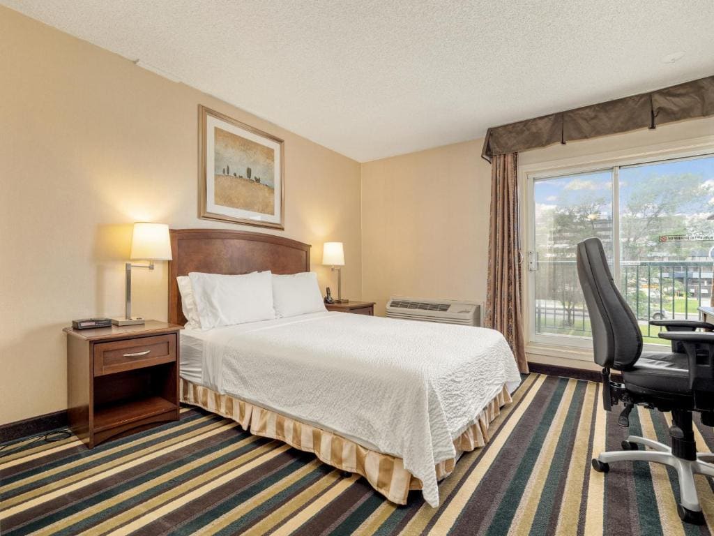 Double Room - Disability Access/Roll-In Shower room - Image 1