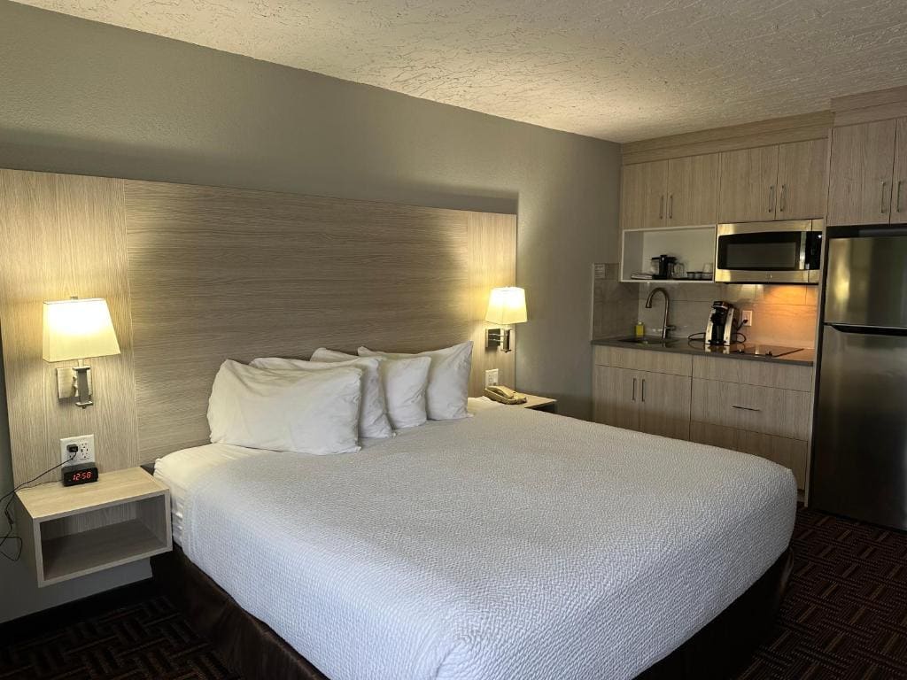 Efficiency King Room - Non-Smoking room - Image 1