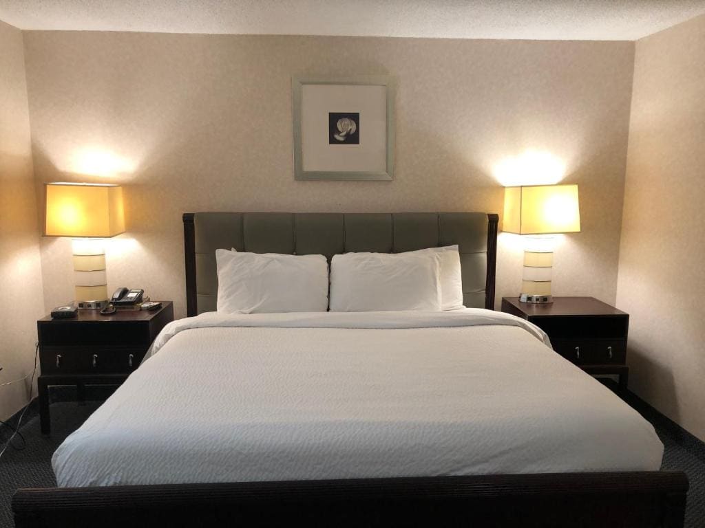 King Suite - Non-Smoking room - Image 2