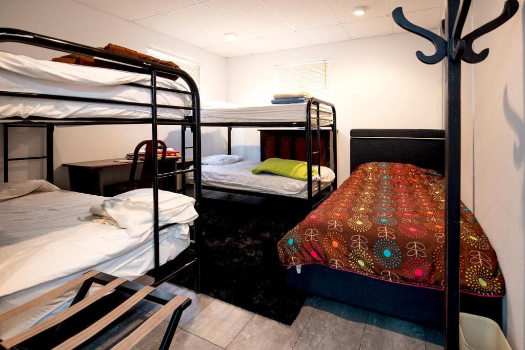 Bunk Bed in Mixed Dormitory Room room - Image 1