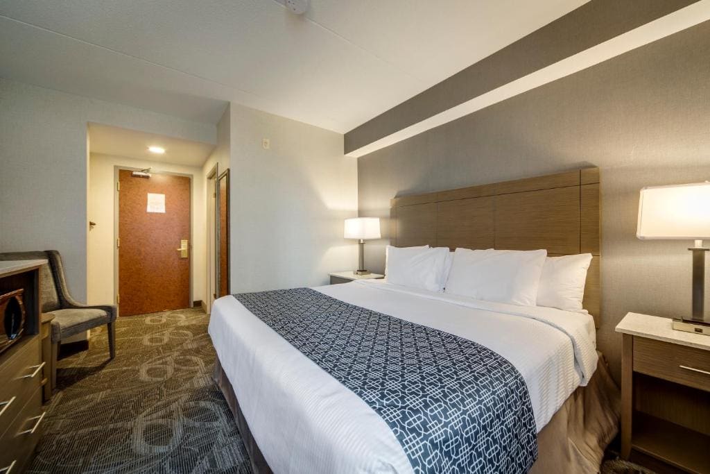 Standard room with 1 king bed room - Image 3