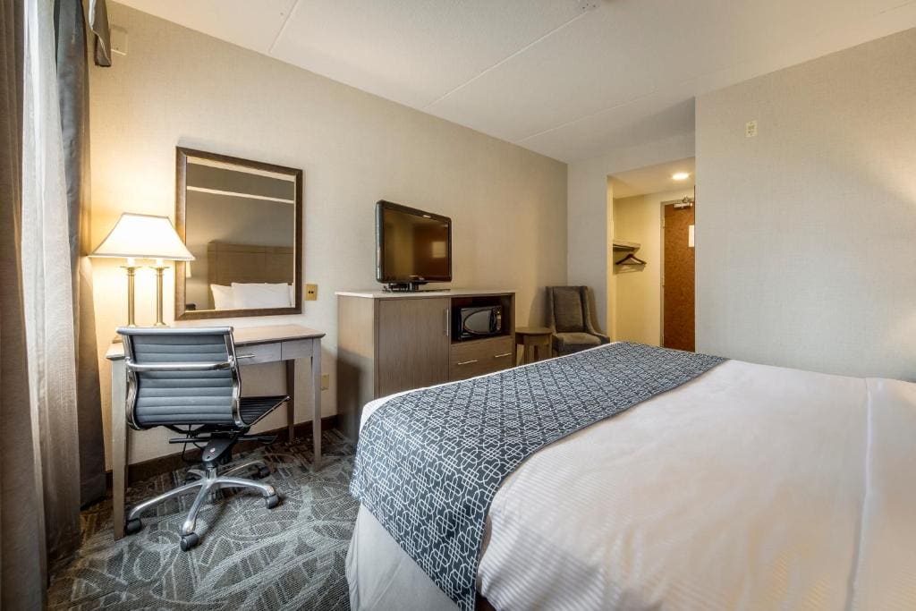 Standard room with 1 king bed room - Image 1