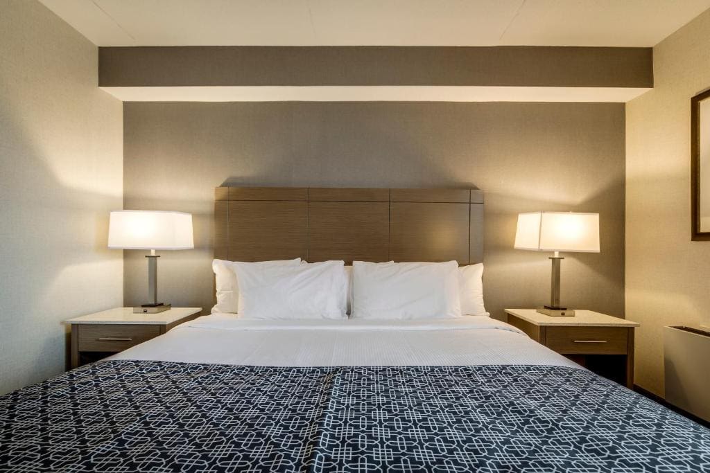 Standard room with 1 king bed room - Image 2