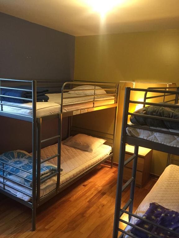 Single Bed in 4-Bed Dormitory Room room - Image 1