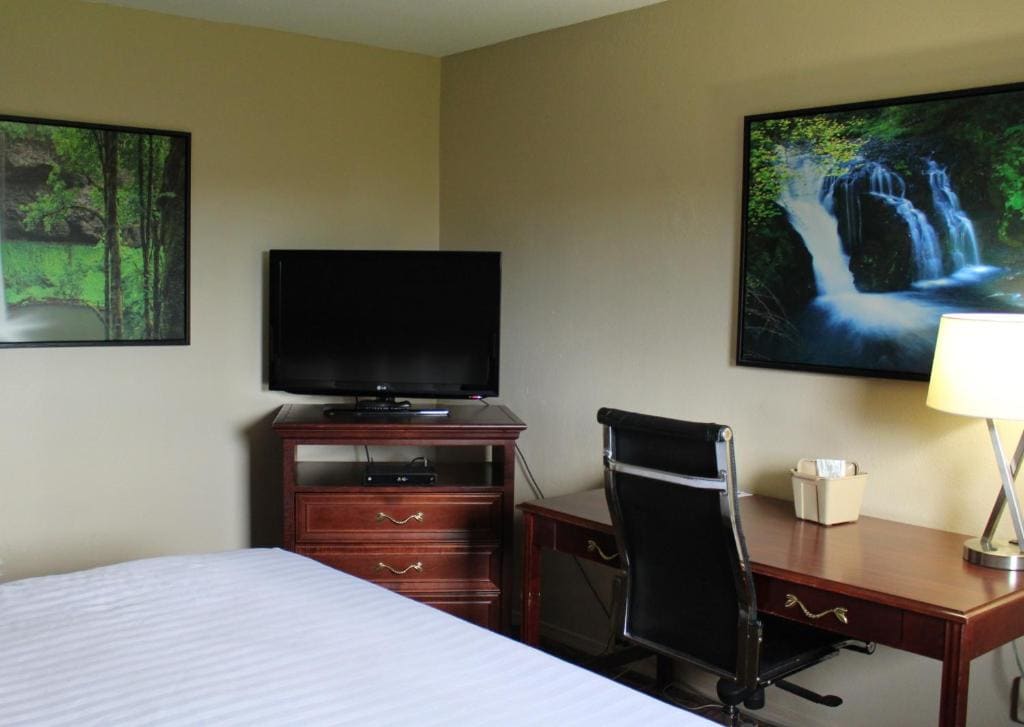 King Room - Non-Smoking room - Image 1