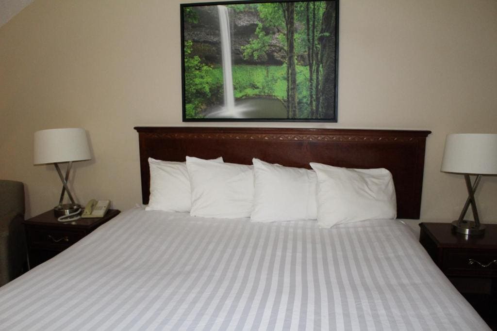 King Studio Suite with Ocean View - Non-Smoking room - Image 2