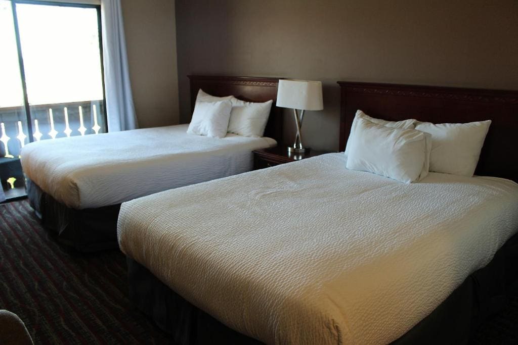 Deluxe Queen Studio Suite with Ocean View - Non-Smoking room - Image 3