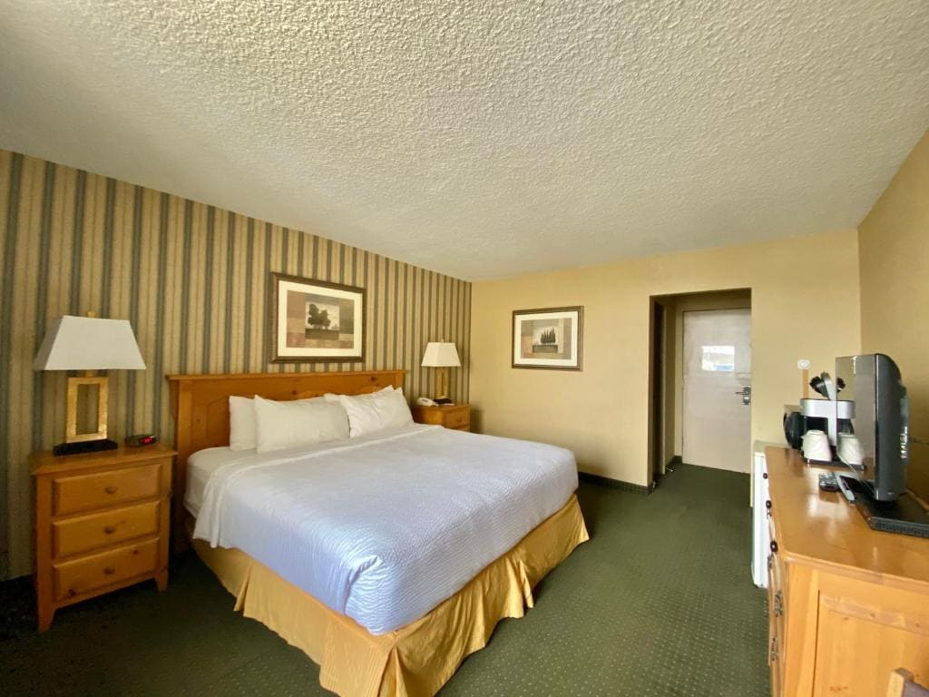 King Room - Non-Smoking room - Image 1