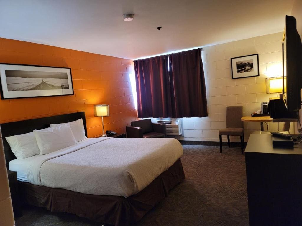 Standard Queen Room - Pet Friendly room - Image 2
