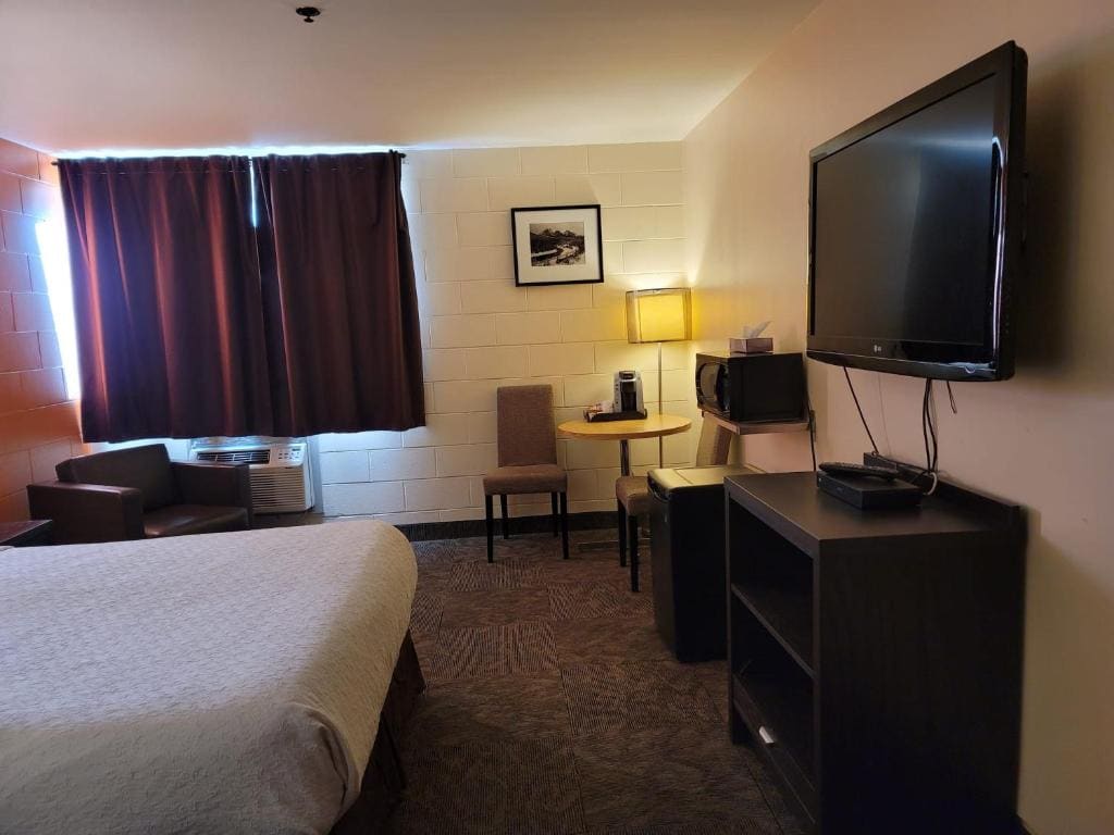 Standard Queen Room - Pet Friendly room - Image 3