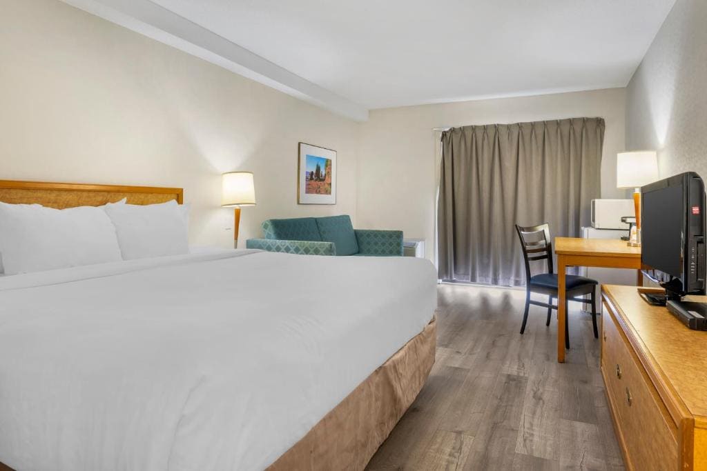King Room - Non-Smoking room - Image 1