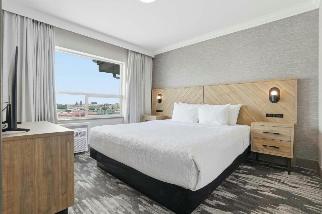 Grand Suite, 1 King Bed, Sofa Bed, Kitchenette room - Image 1