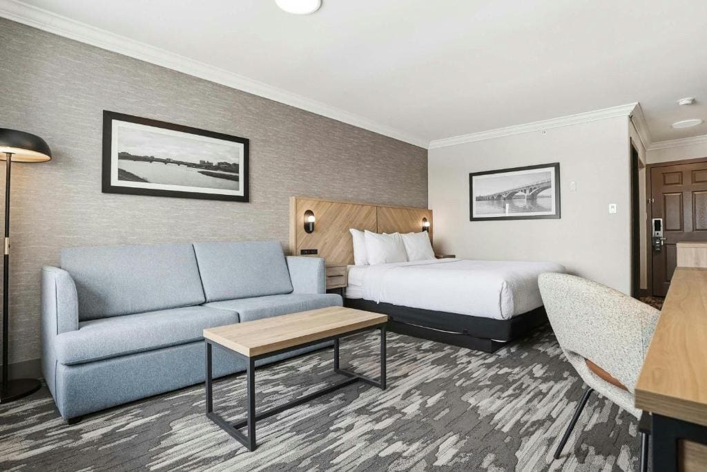 Standard Room, 1 King Bed, Sofa Bed room - Image 3