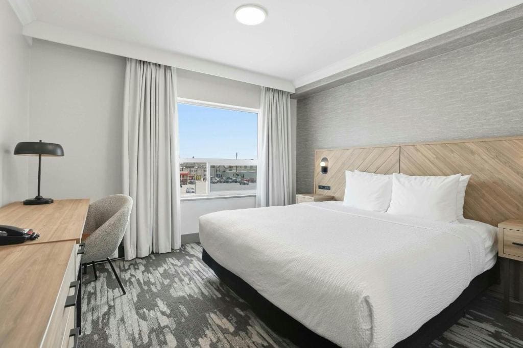 Standard Suite, 1 King Bed, Sofa Bed, Kitchenette room - Image 1