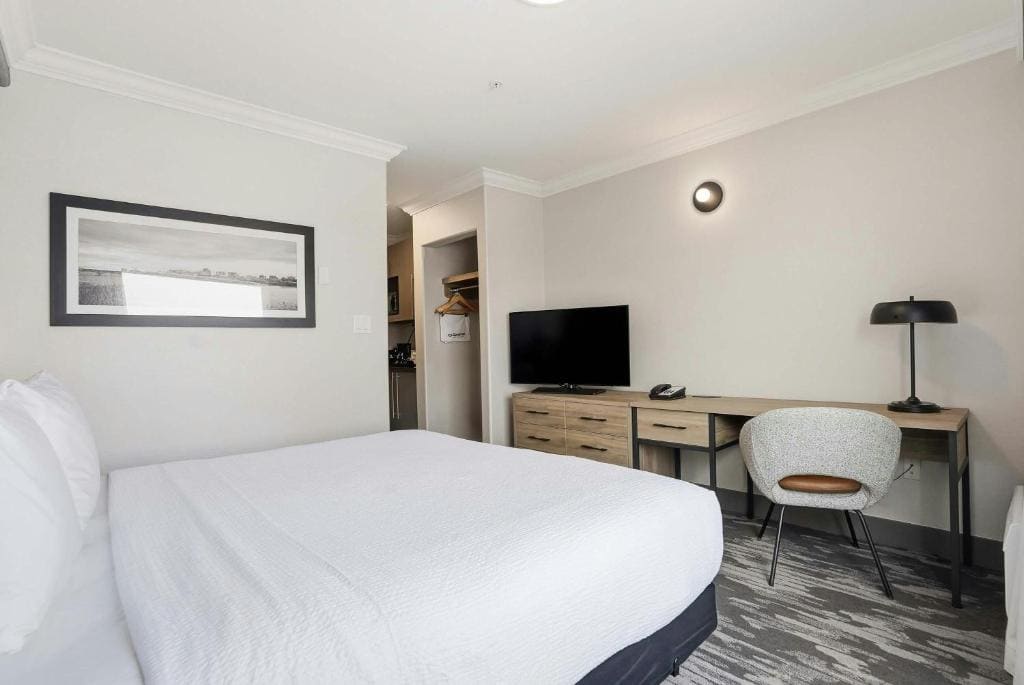 Standard Suite, 1 King Bed, Sofa Bed, Kitchenette room - Image 3