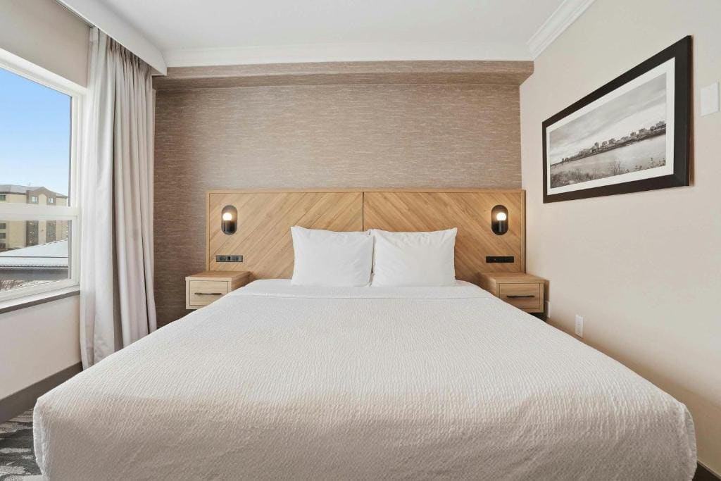Standard Suite, 1 King Bed, Sofa Bed, Kitchenette room - Image 2