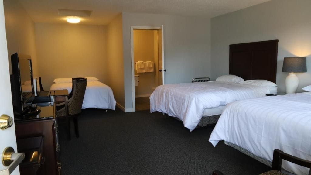 Large Room with Three Beds - Pet Free room - Image 3