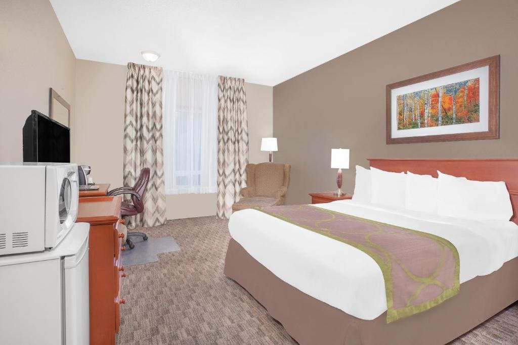Queen Room - Disability Access/Non-Smoking room - Image 1