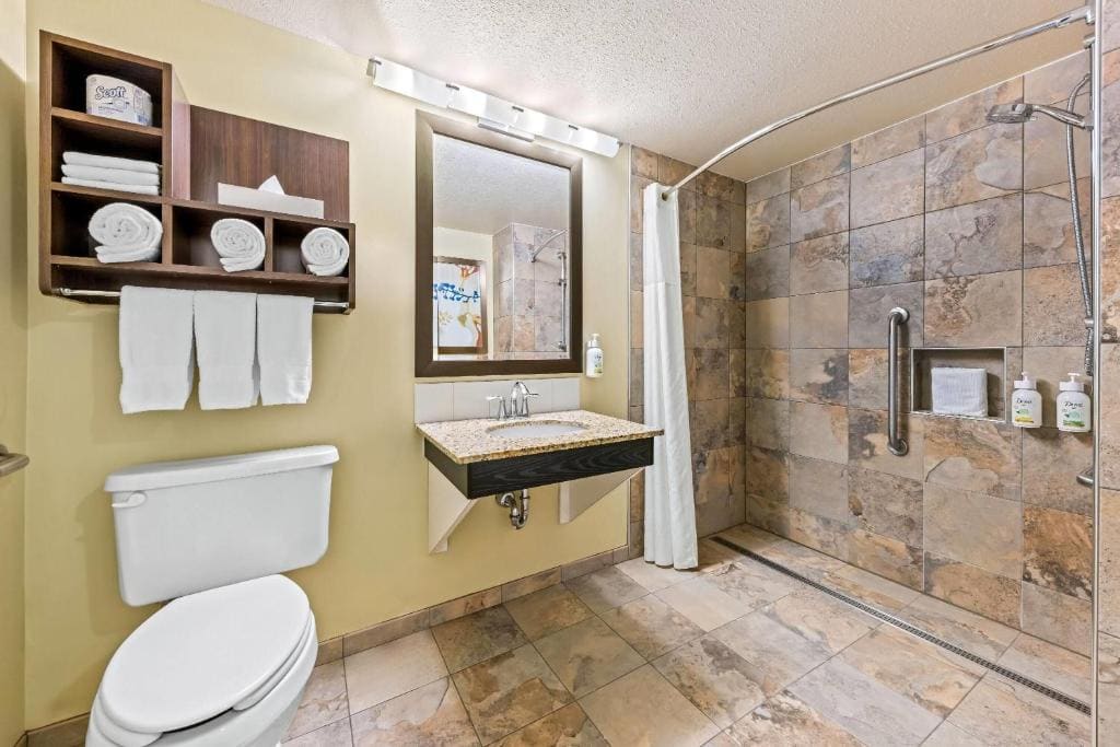 Accessible Room, Queen Bed, Non Smoking room - Image 2