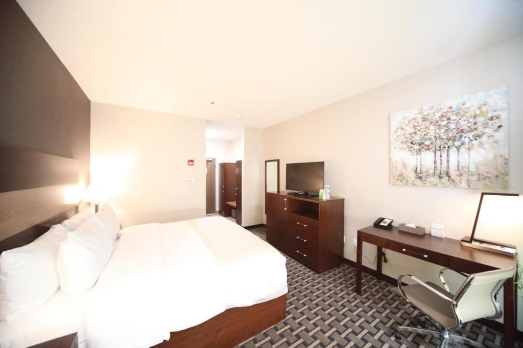 Premium King Room - Pet-Friendly/Non-Smoking room - Image 2