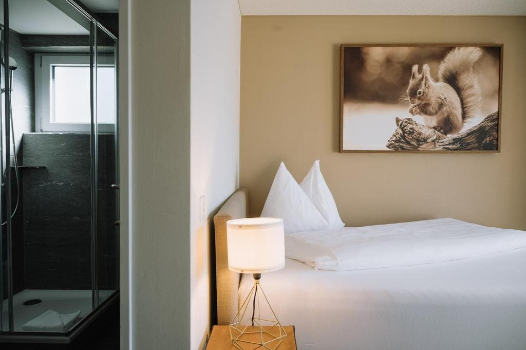 Single Room with Balcony and Lake View room - Image 2