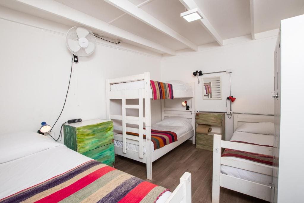 Single Bed in Female Dormitory Room room - Image 3