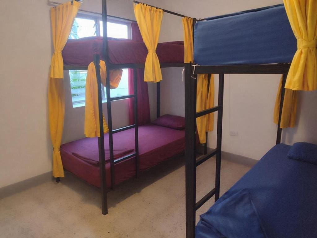 Bed in 4-Bed Female Dormitory Room room - Image 1