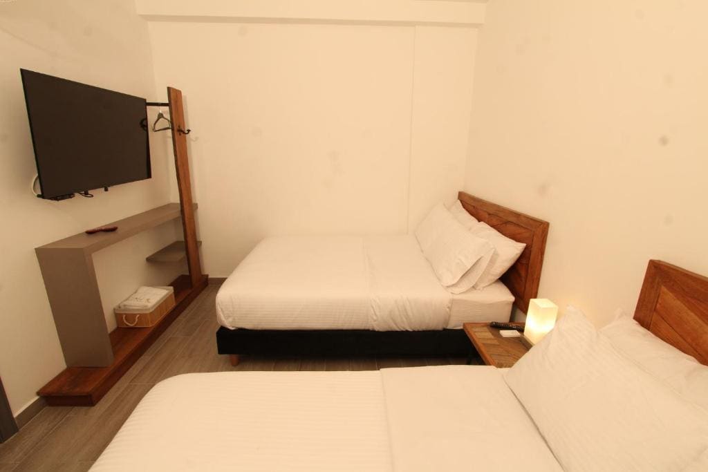 Large Twin Room room - Image 1