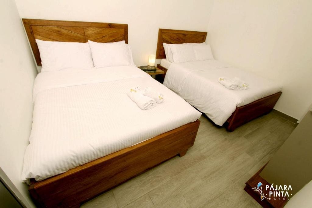 Large Twin Room room - Image 2