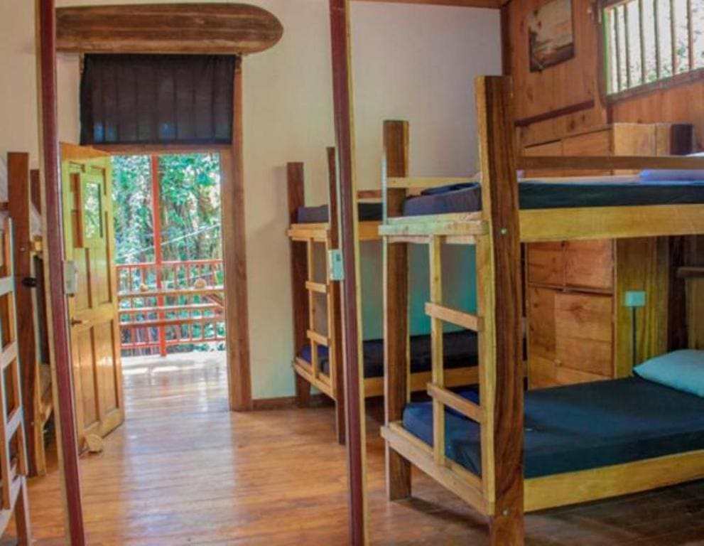 Bunk Bed in Mixed Dormitory Room room - Image 1
