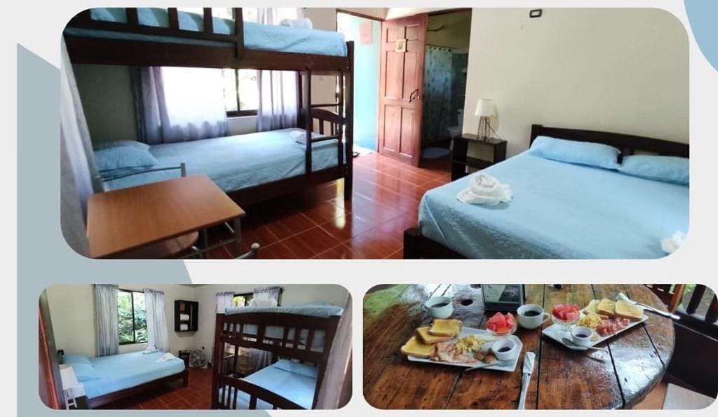 Quadruple Room room - Image 1