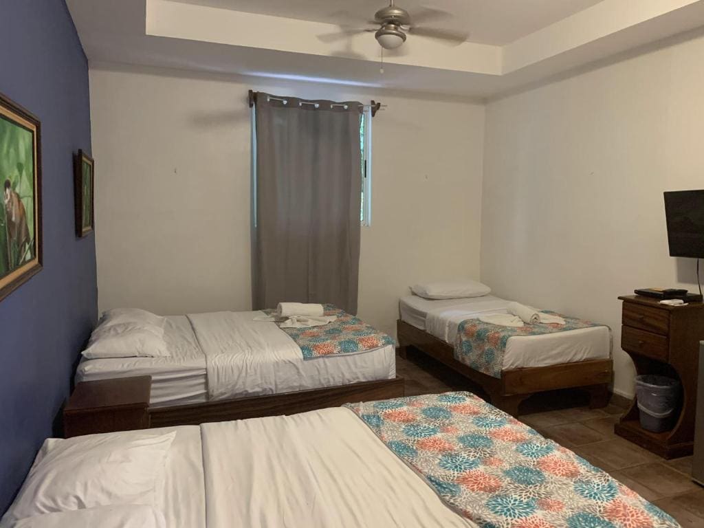 Monkey Room room - Image 1