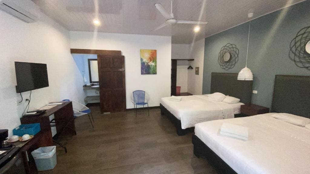 Suite Deluxe room - Image 2