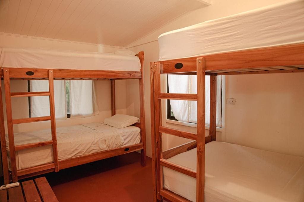 Single Bed in Mixed Dormitory Room room - Image 2