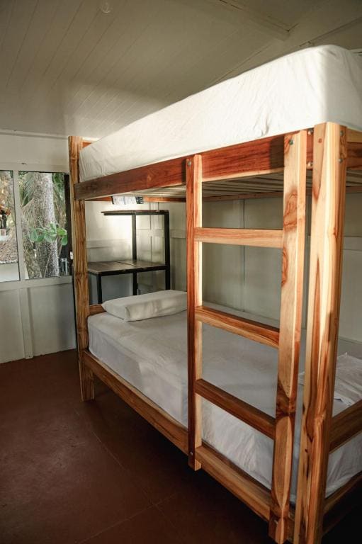 Single Bed in Mixed Dormitory Room room - Image 1