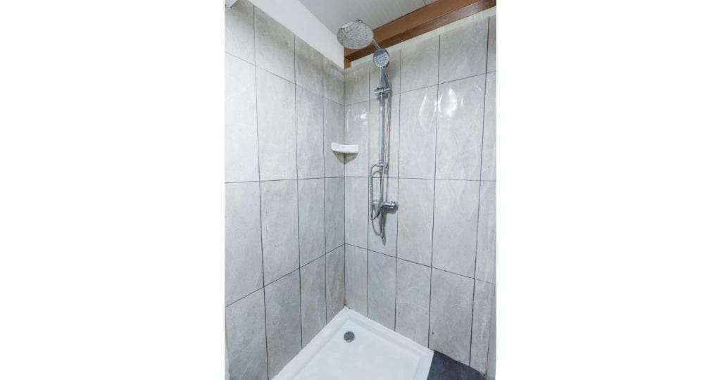 Bunk Bed in Mixed Dormitory Room room - Image 1
