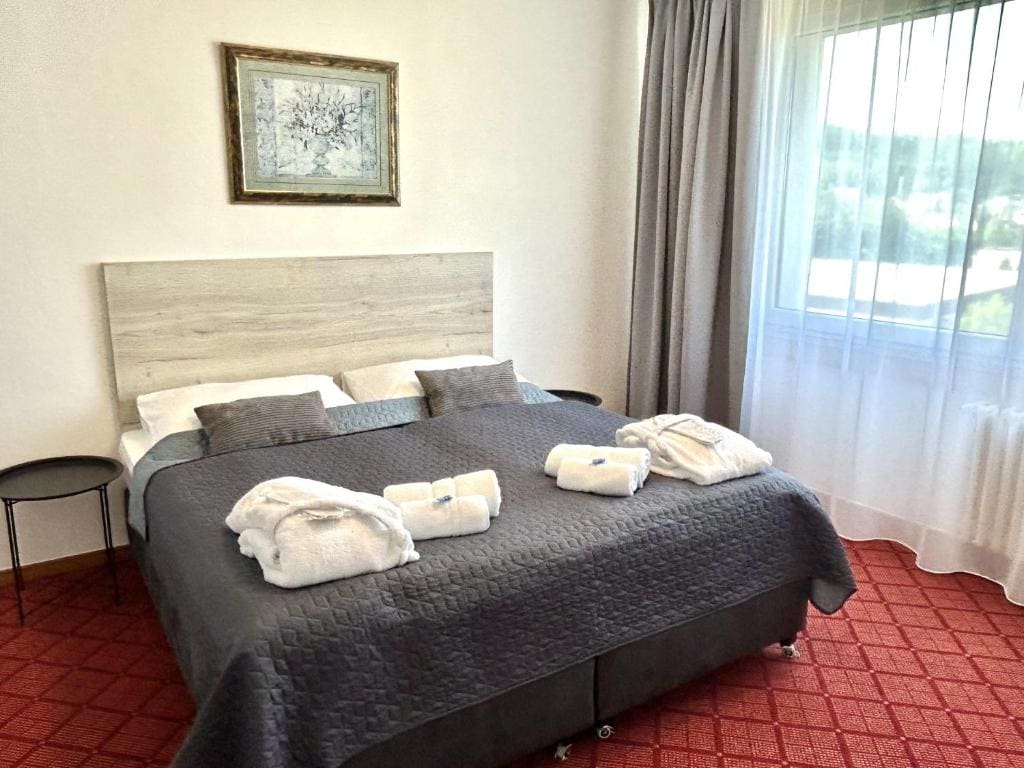Standard Double Suite room - Image 2