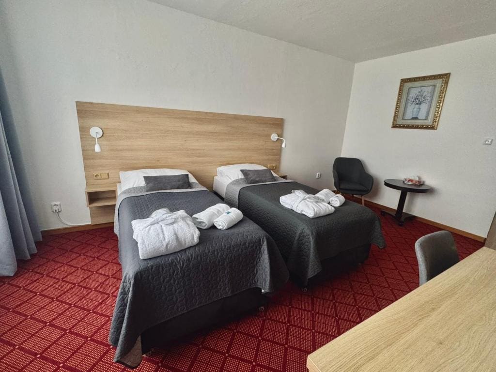Deluxe Twin Room room - Image 1
