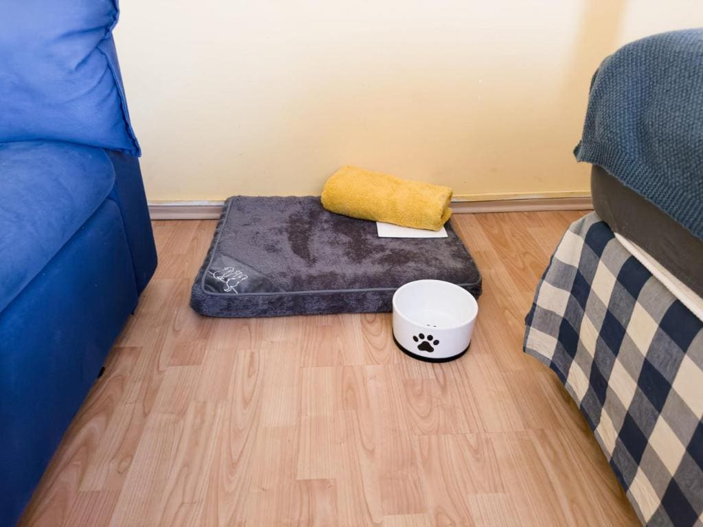 Quadruple Room with Private Bathroom room - Image 3
