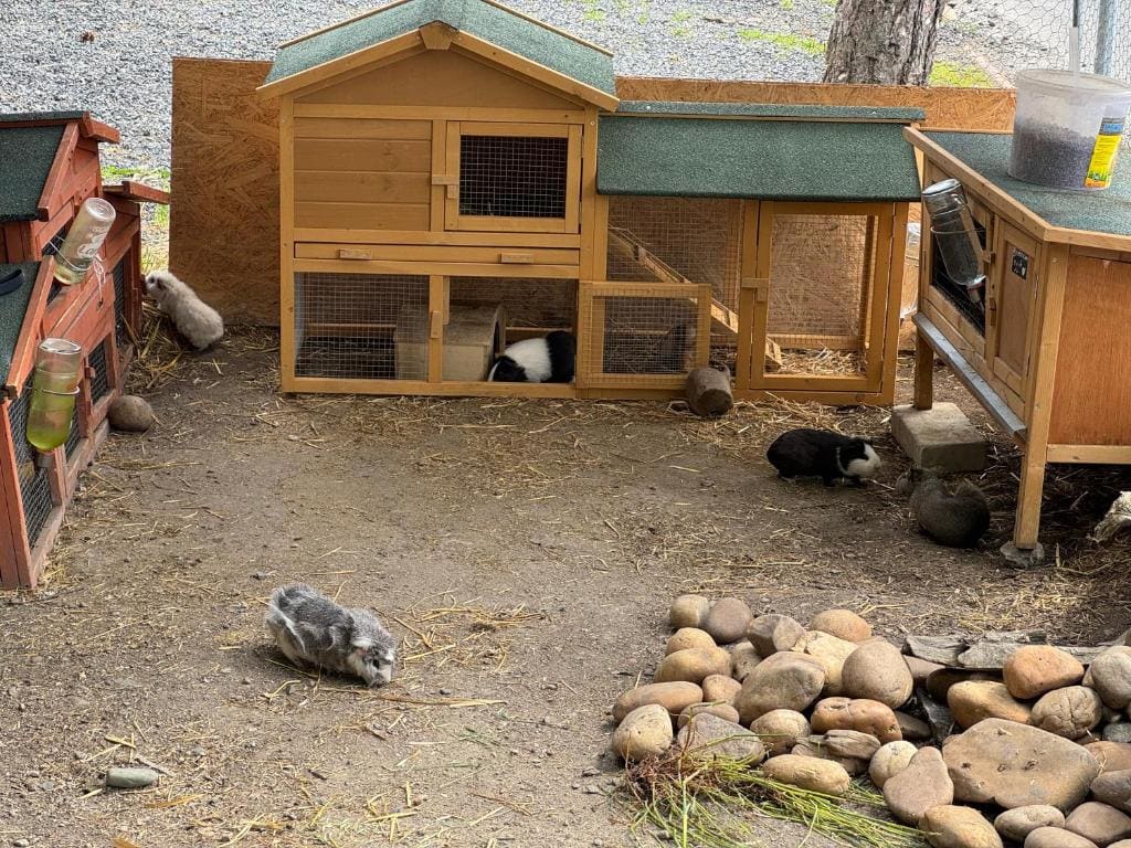 Deluxe Double or Twin Room with Garden View room - Image 1