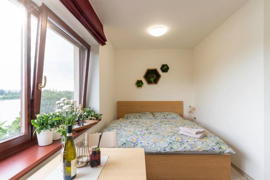 Deluxe Double Room with Bath room - Image 3