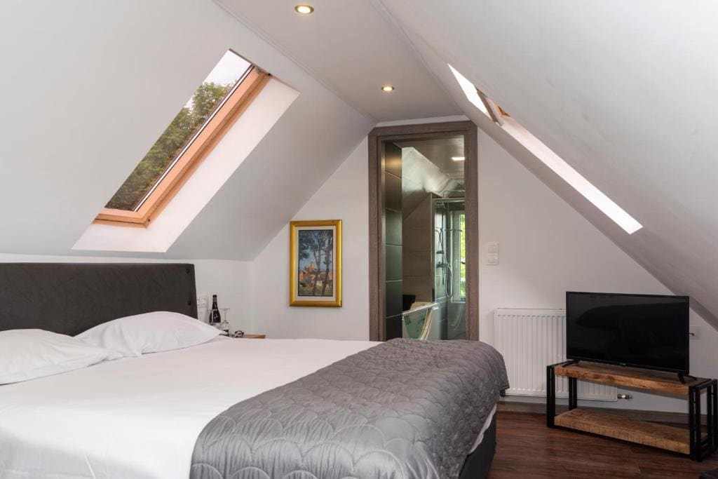 Attic Double Room with Jacuzzi in the Bathroom room - Image 1