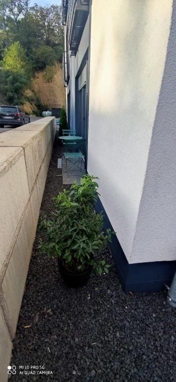 Apartment with Terrace room - Image 2