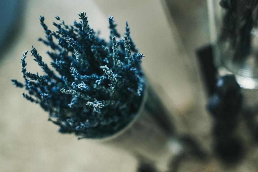 Doppelzimmer Residence Kategorie C room - Image 2