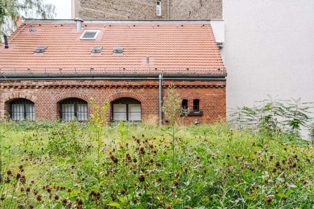 Garden View room - Image 1