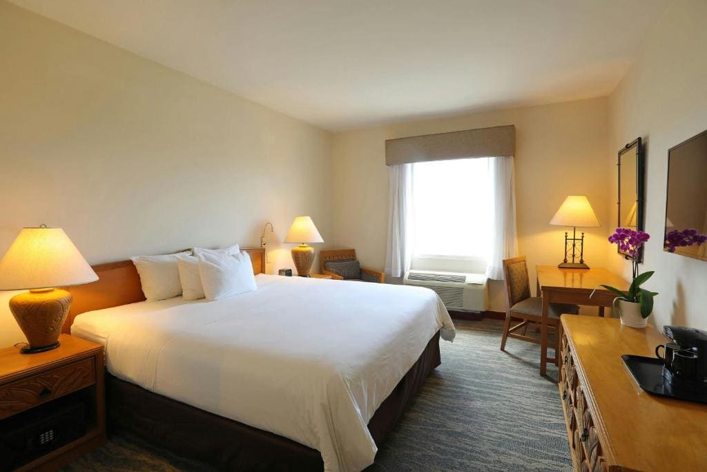 Standard King Room room - Image 1
