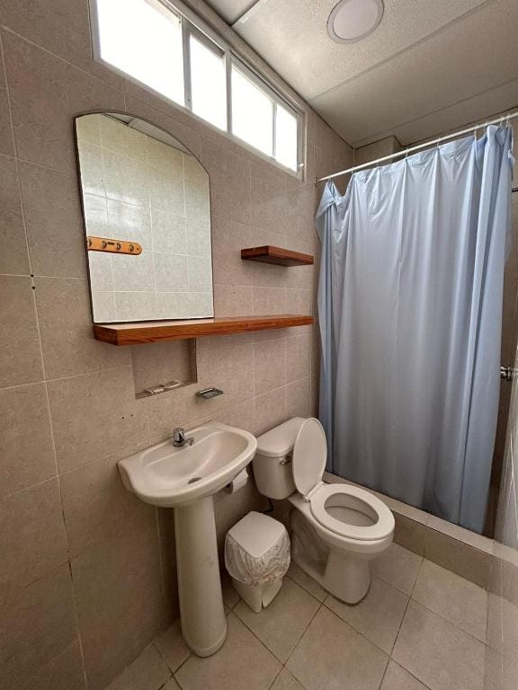 Single Bed in Mixed Dormitory Room room - Image 1