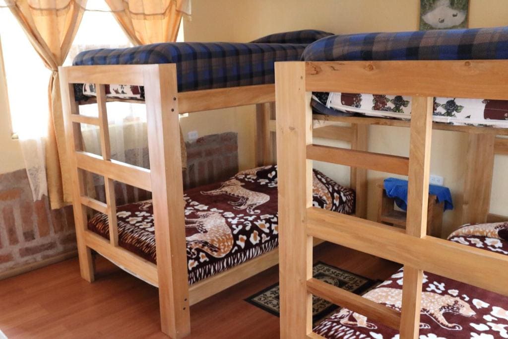 Bed in 4-Bed Dormitory Room room - Image 3