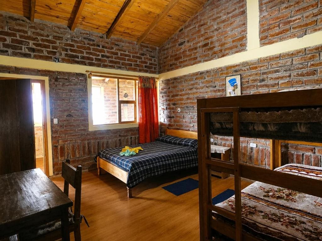 Single Bed in Mixed Dormitory Room room - Image 1